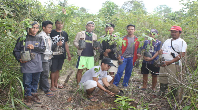 Warga Dusun Sebaju menanam pohon di Hutan Adat Rasau sebaju