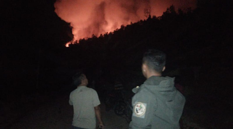 Bukit Matok Yang Terbakar