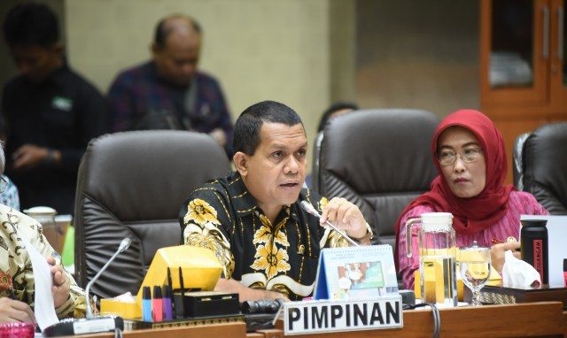 Wakil Ketua Komisi IX DPR RI Emanuel Melkiades Laka Lena