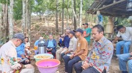 Kepala Dinas Ketahanan Pangan dan Pertanian Kabupaten Melawi, M. Syaiful Khair, saat mendampingi BPKP saat berkunjung ke kebun kopi liberika MHA Katab Kebahan. (Ist)