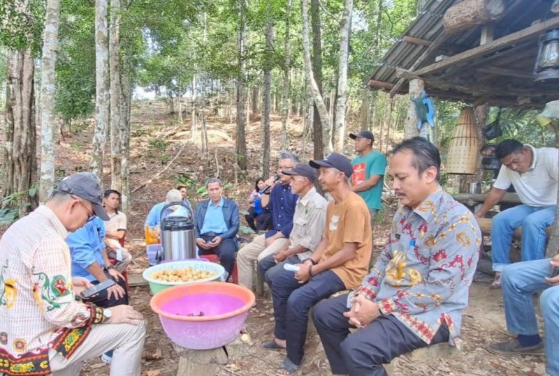 Kepala Dinas Ketahanan Pangan dan Pertanian Kabupaten Melawi, M. Syaiful Khair, saat mendampingi BPKP saat berkunjung ke kebun kopi liberika MHA Katab Kebahan. (Ist)