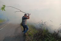 Kepulan asap tebal akibat kebakaran lahan di Km 13 mendadak menutup badan jalan utama, memicu kemacetan dan membuat pengguna jalan terpaksa memperlambat laju kendaraan demi keselamatan. (Ist)