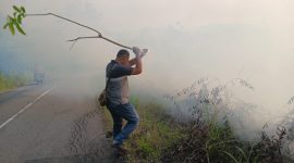 Kepulan asap tebal akibat kebakaran lahan di Km 13 mendadak menutup badan jalan utama, memicu kemacetan dan membuat pengguna jalan terpaksa memperlambat laju kendaraan demi keselamatan. (Ist)