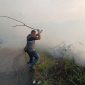 Kepulan asap tebal akibat kebakaran lahan di Km 13 mendadak menutup badan jalan utama, memicu kemacetan dan membuat pengguna jalan terpaksa memperlambat laju kendaraan demi keselamatan. (Ist)