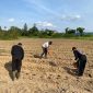 Anggota Polres Melawi saat melakukan penaburan benih jagung. (Ist) 