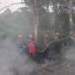 Polres Melawi bersama Manggala Agni Daerah Operasi XI/Sintang menunjukkan keseriusan dengan menggelar simulasi pemadaman karhutla di area belakang Polres Melawi, Kamis (29/1/2026). (Ist)