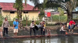 Kapolres Melawi Polda Kalbar AKBP Harris Batara Simbolon turun langsung memimpin penaburan benih ikan di lingkungan Polsek Nanga Pinoh, Selasa (10/2/2026). (Ist)