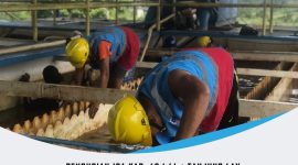 Informasi terkait Pembersihan IPA Tanjung Lay