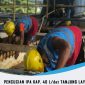 Informasi terkait Pembersihan IPA Tanjung Lay